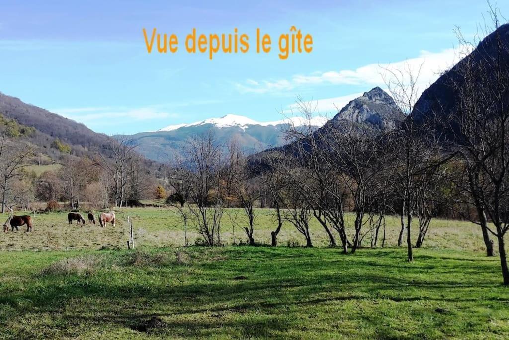 Grange En Pierres. Grand Jardin Et Belle Vue Villa Saurat Eksteriør bilde