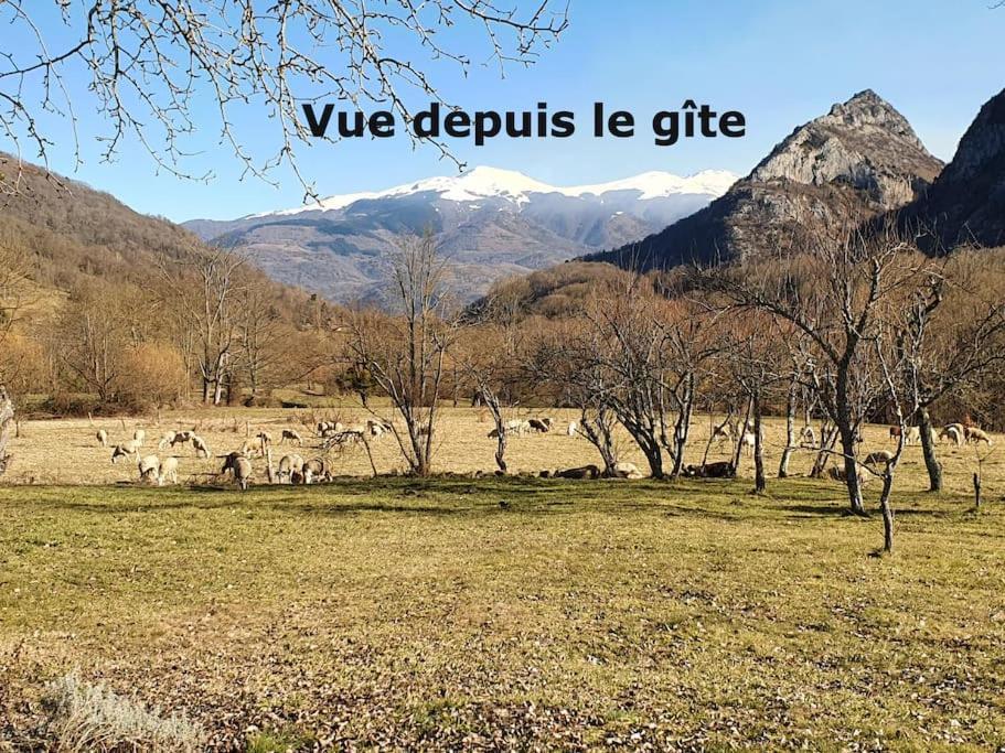 Grange En Pierres. Grand Jardin Et Belle Vue Villa Saurat Eksteriør bilde