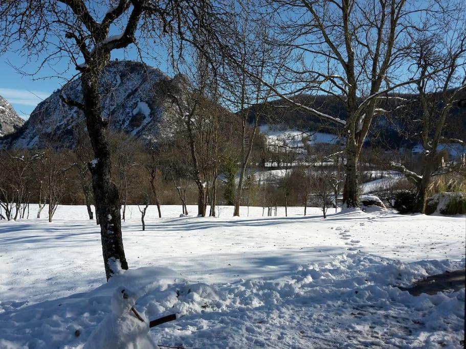 Grange En Pierres. Grand Jardin Et Belle Vue Villa Saurat Eksteriør bilde